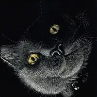 Scratchbord art titled: Cat Commission
