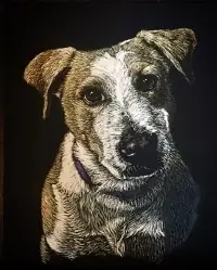 Scratchbord art titled: Dog Commission