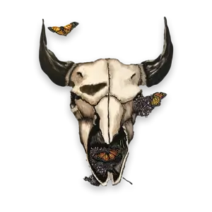 scratchbord art of steer skull